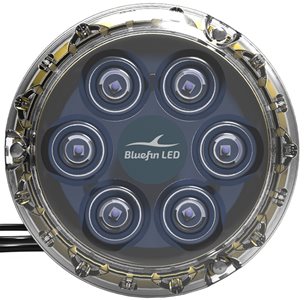 Piranha P6 Bluefin LED