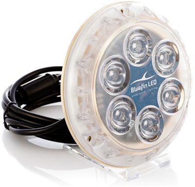 bluefin led ed il prodotto perfetto news 1