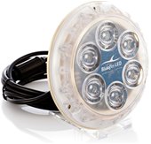 Bluefin LED ed il prodotto Perfetto n.1